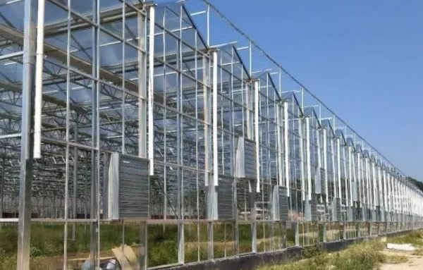 威尼斯9499登录入口(中国)有限公司官网