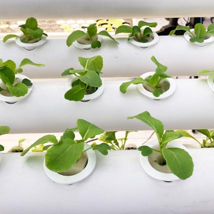 威尼斯9499登录入口(中国)有限公司官网