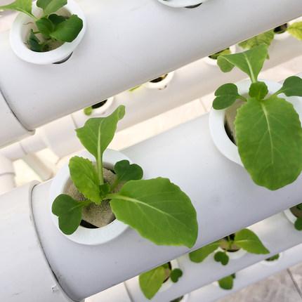 威尼斯9499登录入口(中国)有限公司官网